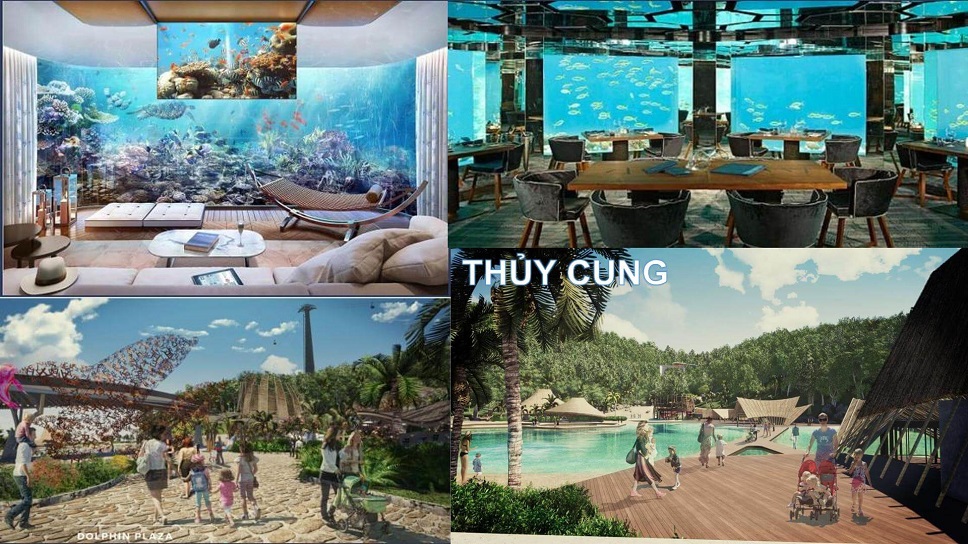 thủy cung tại hon thom paradise