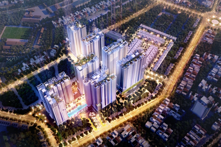 HaDo Centrosa Garden