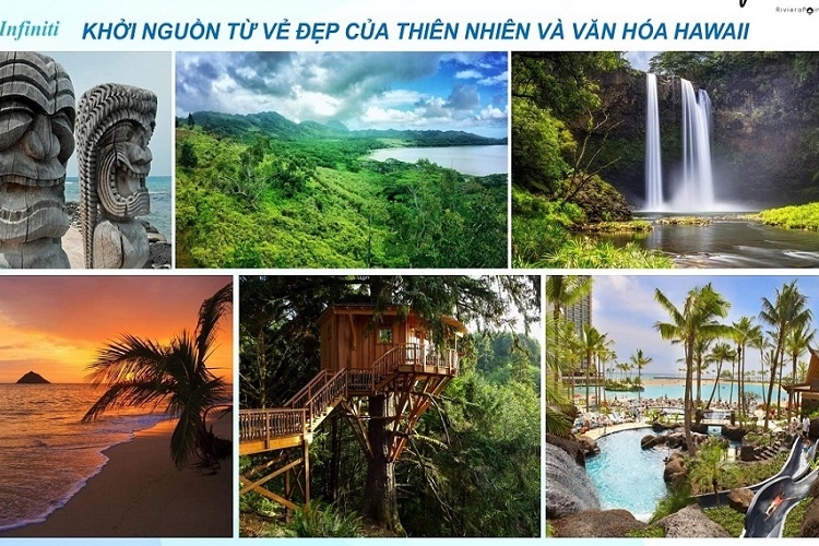 The Infiniti Riviera Point