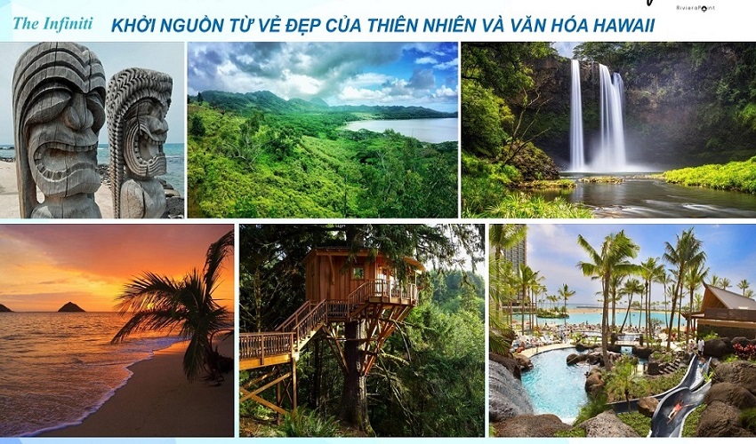 The Infiniti Riviera Point