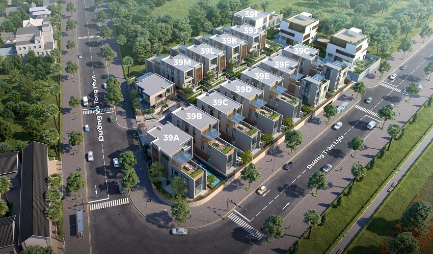 Mặt bằng tổng thể