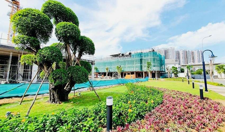 Tiến độ tháng 01/2022