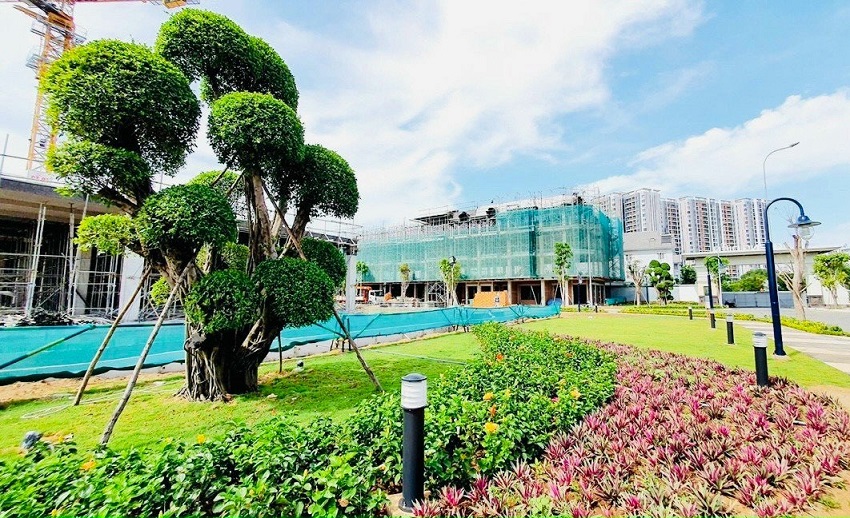 Tiến độ tháng 01/2022