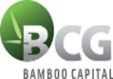 Tập Đoàn Bamboo Capital